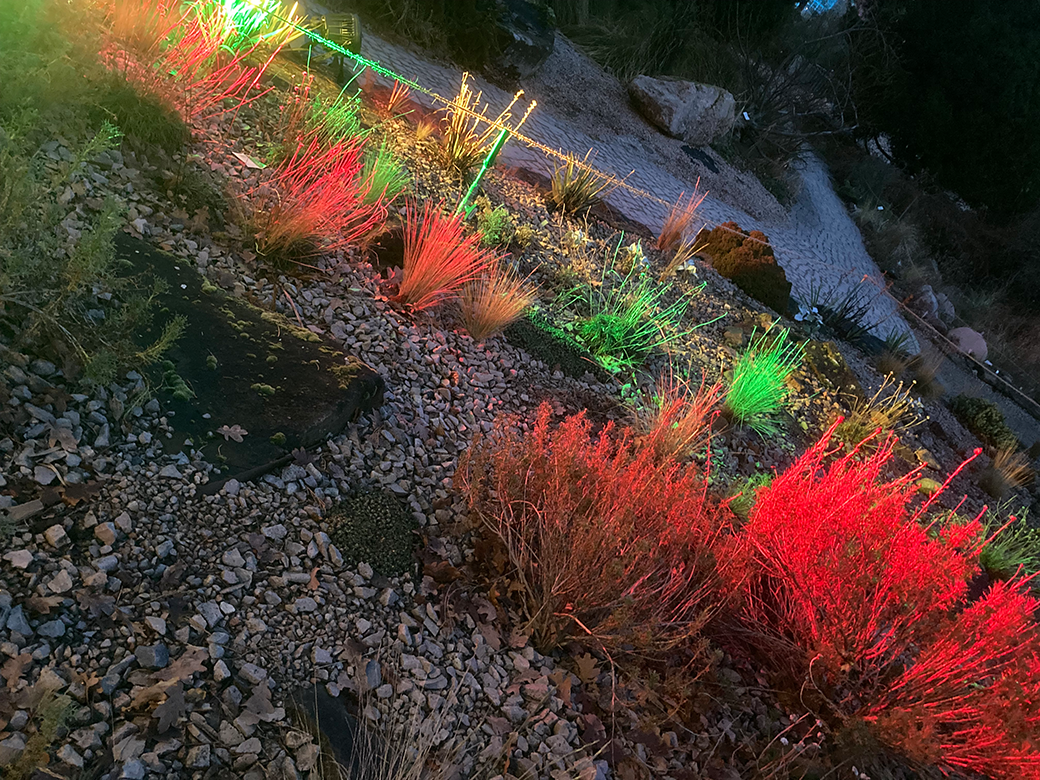 Winterlichter Palmengarten